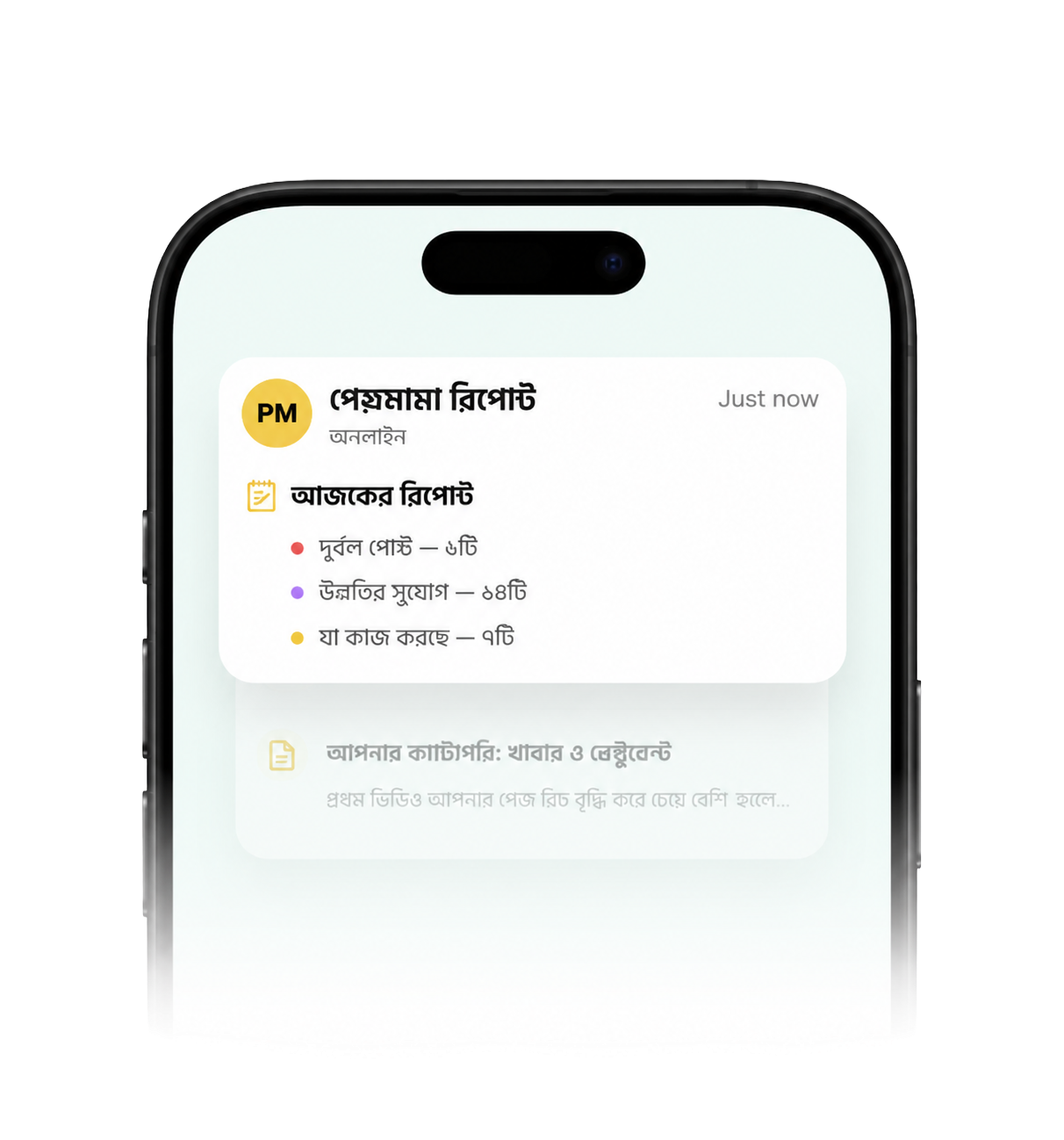 WhatsApp রিপোর্ট মকআপ